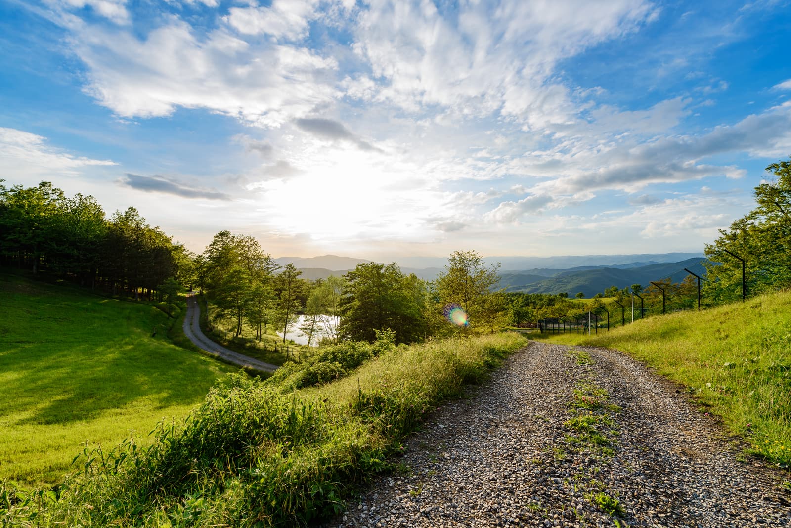 La natura intorno alla casa