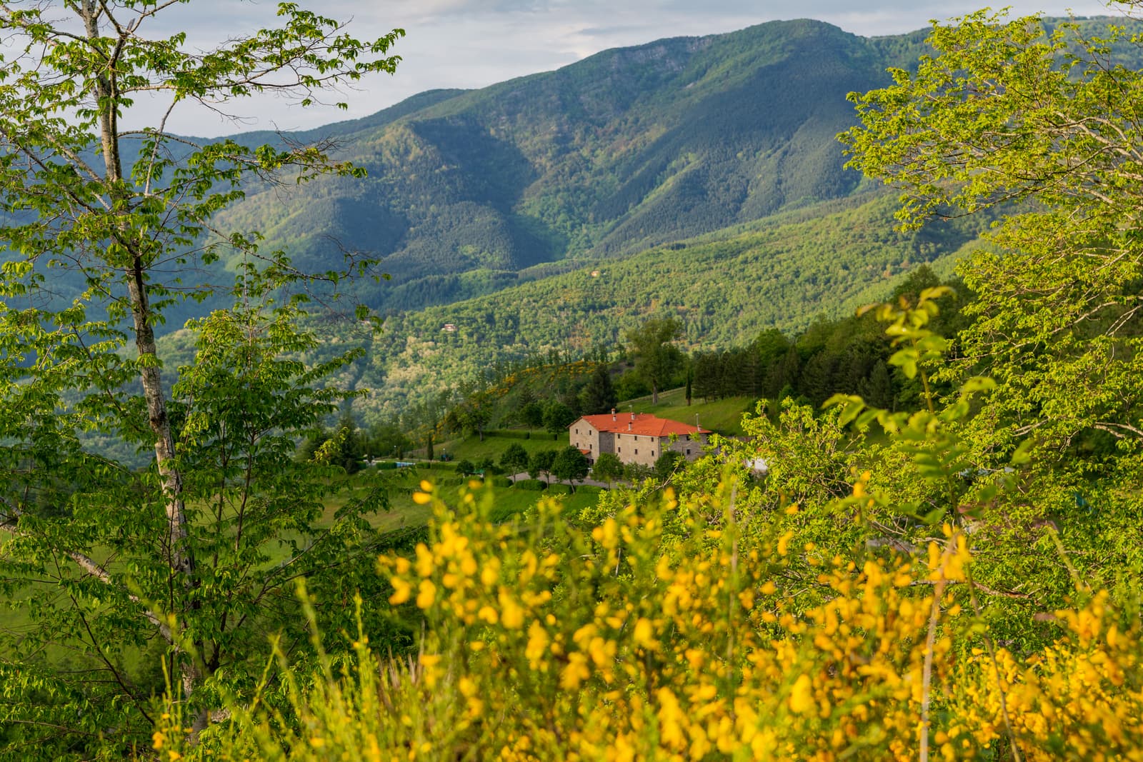 Panorama sulla campagna