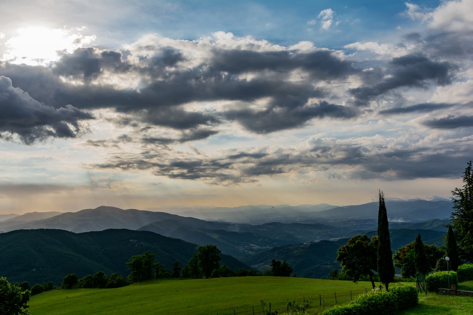Le capre della tenuta